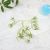 Artificial Plastic 6 Fork Plant Decoration High-End DIY Processing Finished Product Hydrangea Rose Customizable Factory Direct Supply