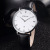 One Piece Dropshipping New Arrival Stryve Men's Business Belt Quartz Wrist Watch Waterproof Calendar Thin Watch