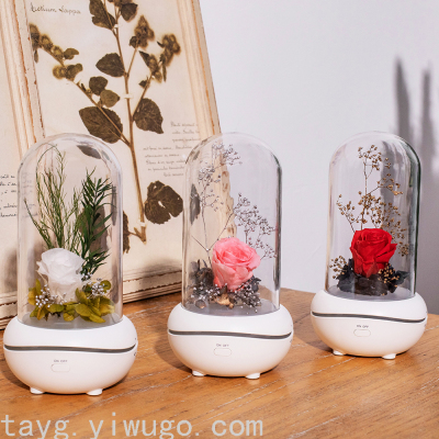 Atmosphere Preserved Fresh Flower Small Night Lamp Fire-Free Fragrance Lamp Colorful Warm Light Mute Sleep Aid