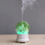 New Preserved Fresh Flower Aroma Diffuser Colorful Aromatherapy Night Light Mini Humidifier Aroma Diffuser