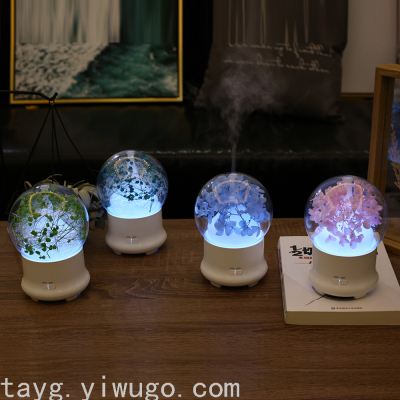 New Preserved Fresh Flower Aroma Diffuser Colorful Aromatherapy Night Light Mini Humidifier Aroma Diffuser