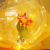Internet Sensation Rose Bouquet Bounce Ball 520 Qixi Gift Confession Luminous Balloon Night Market Stall Supply Wholesale