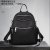 Foreign Trade Bag for Women 2021 New Korean Style Fashionable Oxford Cloth Embroidery Thread Backpack Three-Purpose Women's Outdoor Backpack Cross-Border