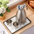 Stainless Steel Thermal Pot Set Cold-Keeping Coffee Pot Large Capacity Heat Preservation Bottle Vacuum 2L Activity Practical Gift Wedding
