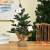 Christmas Ornament Small Tree Mini Christmas Decorative Tree Christmas Festival Shopping Mall Decoration Ornament Ornament Photo Props