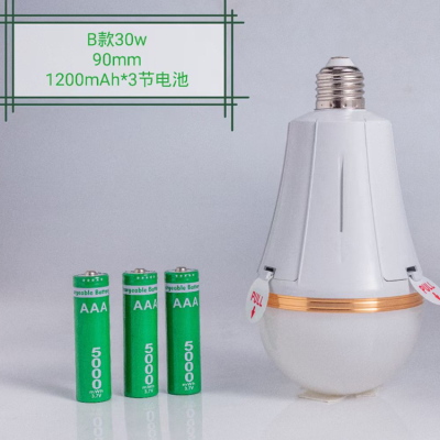 LED Smart Emergency Bulb 30W Power Failure Emergency Lamp Battery Detachable Highlight Outdoor Rechargeable Light B Type