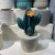 Ceramic Crafts Cactus Home Ornament and Decoration Three-Dimensional Handmade Fake Flower Pot