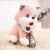 New Sitting Star Dream Dog Doll Husky Puppy Doll Plush Toy Wholesale Birthday Event Gift Customization