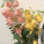 1Pcs Phoenix orchid  silk flowers thanksgiving Low price flowers decoration home decoration accessories  love gift