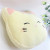 Factory Direct Sales Cartoon Cute Kitty Cushion Office Siesta Pillow Plush Toy Sample Customization