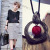 Autumn and Winter Korean Necklace Women Crytal Ball Pearl Long Fashion Sweater Chain Accessories Pendant Pendant Small Jewelry Wholesale