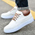 AliExpress Foreign Trade 2021 New Canvas Shoes Korean Style Men's Versatile Casual Shoes Trendy Extra Large Size Board Shoes