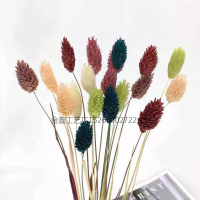 Natural Gradient Dry Flower Bouquet Bunny Tail Grass Easter Flower Wedding Valentine's Day Gift Decor Crafts Flowers