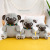 Factory Plush Toys Artificial Dog Shiba Inu Starling Husky Figurine Doll Customized Doll Creative Gift for Women