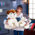 Simulation Husky Ragdoll Doll Cute Husky Plush Toys Wholesale Shiba Inu Pillow Gift Customization