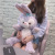 New Cartoon StellaLou Doll Plush Toys Cute Girl Comforter Rabbit Ragdoll Doll Wholesale