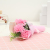 Cross-Border Sales Mother's Day Qixi Teacher's Day Carnation Gift for Elders and Friends Soap Rose Gift Matching