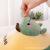 Avocado Plush Toy Pillow Hand Warmer Fruit Plush Pillow 3-in-1 Pillow Blanket Toy Airable Cover Doll