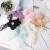 Super Fairy Chiffon Hair Ring Female Girl Cute Bow Ins French Sweet Hair Rope Bun Large Intestine Ring Hair Accessories