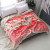 Flannel Lambswool Coral Velvet Blanket Blanket Duvet Thickening Bed Sheet Velvet Blanket Single and Double Factory Direct Sales Wholesale