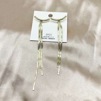 925 Silver Needle Texture Long Snake Bones Chain Earrings Eardrop All-Match Elegant Tassel Earrings Stud Earrings for Women