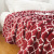 Coral Flannel Blanket Heavy Weight Thick American Printed Blanket Winter Single Leisure Blanket Double Blanket