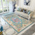 European Style Living Room Carpet Floor Mat Amazon Hot Selling Carpet Living Room Thermal Transfer Carpet Printing Carpet Doormat Customized