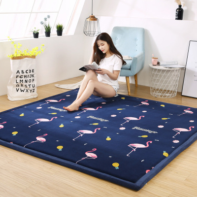 Household Tatami Bedroom Carpet Fully Covered Thick Coral Fleece Floor Mat Living Room Children's Room Baby Crawling Blanket Customization