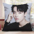 Pillow Printing Printing Pattern Printing All Kinds of Photos Celebrity Related Goods Customized Wholesale