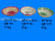 Melamine Stock Melamine Tableware Melamine Bowl Melamine Fruit Plate Melamine Decals Running Rivers and Lakes Stall Hot Sale