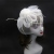 European and American New Retro Noble Bride Feather Flower Veil Billycock Hairpin Headdress Mesh Face Covering Accessories