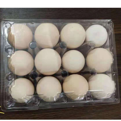 12 Pieces Egg Holder Transparent Disposable Egg Packing Box