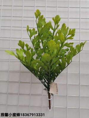 19 Pieces of Software Chrysanthemum Coronarium Leaves