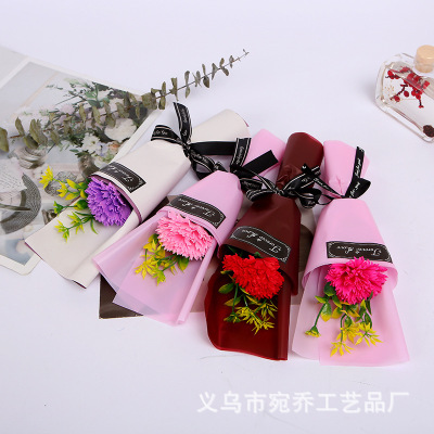 Cross-Border E-Commerce Mother's Day Teacher's Day Single Carnation Gift with Holiday Gifts for Elders and Mothers