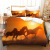 Cross-Border Graphic Customization Amazon AliExpress Animal Steed down Quilt Cover 3D Digital Printing Bedding