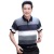 Dad T-shirt Short Sleeve Middle-Aged Summer Clothes 40-50 Years Old Middle-Aged and Elderly Ice Silk Shirt Grandpa's Clothes Men's Tops Wholesale