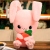 Rabbit Plush Toy Doll Cute Sleeping Pillow Comforter Toys Small Girl Children Christmas Gift