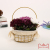 Nordic Small Pot Plant Ins Bouquet Simulation Fake Flower Home Living Room Decoration Coffee Table Juan Floriculture Decoration