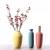Creative Morandi Ceramic Vase Living Room Villa Designer Soft Ornaments