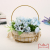 Iron Flower Basket Simulation Plastic Floral Simulation Bonsai Fake Flower Bouquet Picnic Shooting Props Living Room Decoration