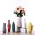 Creative Morandi Ceramic Vase Living Room Villa Designer Soft Ornaments