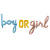 Baby Gender Reveal Party Decoration One-Piece Boy Or Girl Letter Set Baby Shower Layout