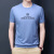 Wholesale Generation Short-Sleeved T-shirt Men's Summer Solid Color Bottoming Shirt Young and Middle-Aged Simple Cotton Ice Silk Crew Neck T-shirt