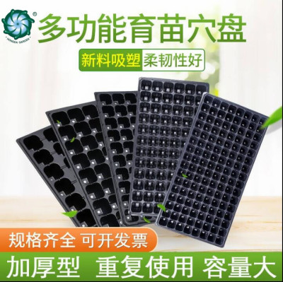 Seedling Tray Non-Porous Tray Seedling Cup Feeding Block Pepper Meat and Vegetables Combo Strawberry Seedling Seedling Nursery Device Cuttage