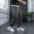 Men's Summer Ice Silk Sports Pants Casual Trousers Korean Fashion Loose Tappered Thin and All-Matching Men's Ninth Pants