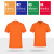 Work Clothes Custom Printed Logo Enterprise T-shirt Lapel Short-Sleeved Shirt Custom Group Work Wear Embroidery