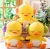 Headset Duck Doll Large Cute Yellow Duck Plush Toy Doll Doll Pillow Birthday Gift TikTok Same Style