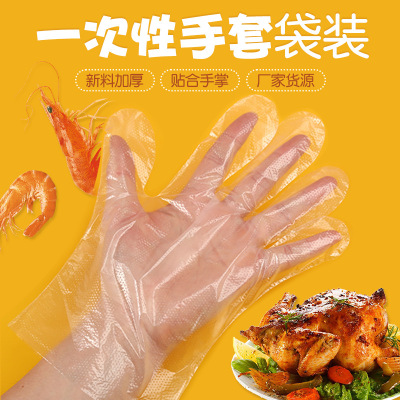 Factory Spot Wholesale Disposable Gloves Thickened Transparent Catering Hairdressing Takeaway Disposable Film Gloves