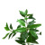Simulation Fake Leaves Olive Leaf Green Plant Photography DIY Background Leaves Screen Engineering Decoration Wholesale