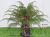Imitate Leaves Plant Ferns Fake Leaf Tree Arecaceae Indoor and Outdoor Ground Bonsai Green Plant Factory Wholesale